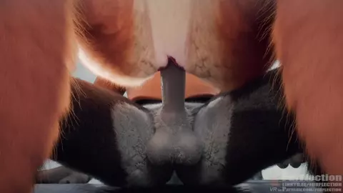 furry compilation