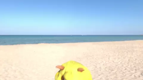 Get Rouge'd Tawna!