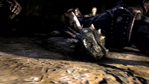 The Argonian Thief