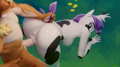 Rarity