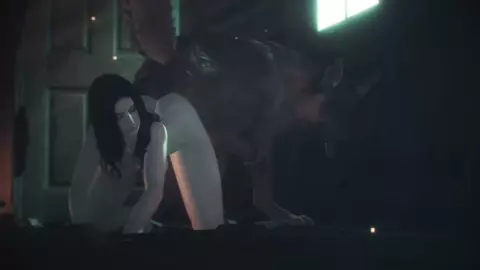 Twins PMV