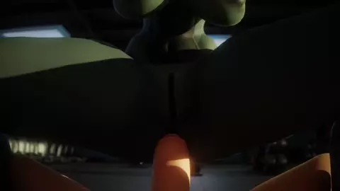 Zekrom workouts