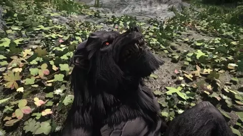 Dark Elf Fucks Werewolf [Dream Forge]