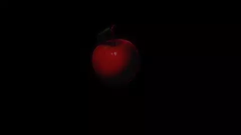 Rondo Duo Fortissimo at Dawn  sex scenes part 1