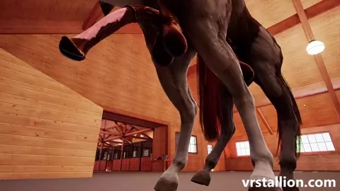 Gay Horses Fucking | VR Stallion 2.10 Gameplay
