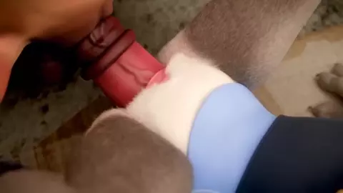 Judy's career ends with a (gang)bang