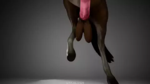 Below The Stallion