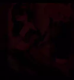 Insect 3 - PMV