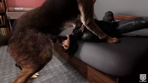 When Cat Met Dog