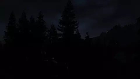 Witch of the Woods