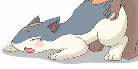 Quilava doggystyle