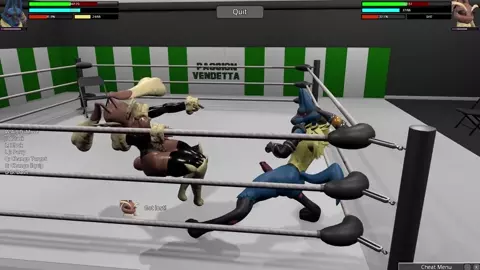 HR2 Furry : Lucario vs Lopunny