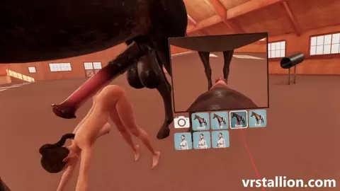 Horse Size Difference | VR Stallion 2.14 Gameplay