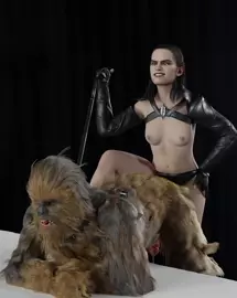 Sith Rey Pegging Chewie