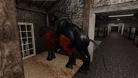 Shire stallion mating with Shire mare