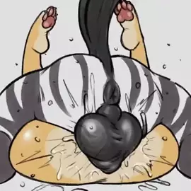 Zebra x Cat kbiscuitcat