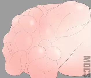 Post vore by makerofcoolstuff or mocs