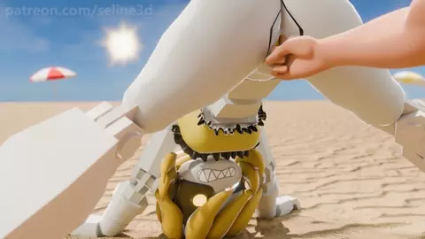You Met Nikki at Beach (SeLine)