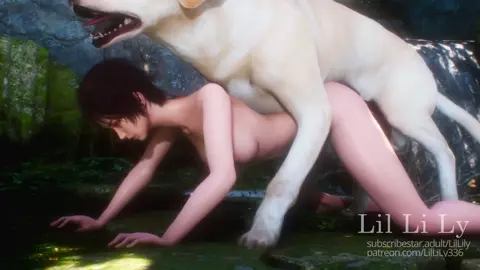Lily x Dog 1