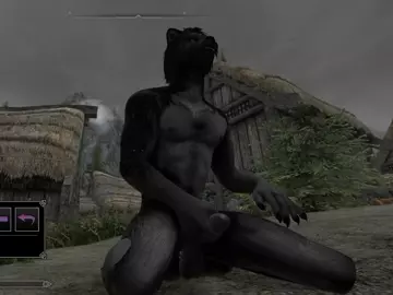 Skyrim Skyfurry Modded Skyrim