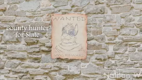 "Bounty Hunter"