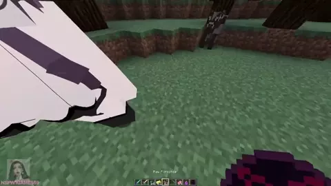 Testing out the Jenny mod