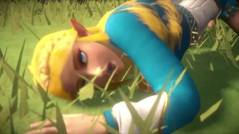 Zelda betrayal and last escort
