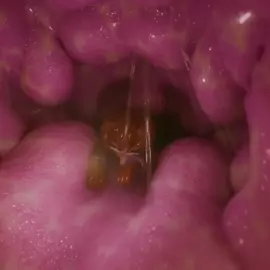 Oral vore by silly roll